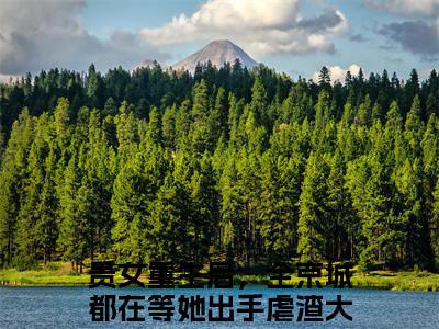 江善盛元帝（贵女重生后，全京城都在等她出手虐渣）全文免费阅读无弹窗大结局_江善盛元帝全文免费阅读_笔趣阁
