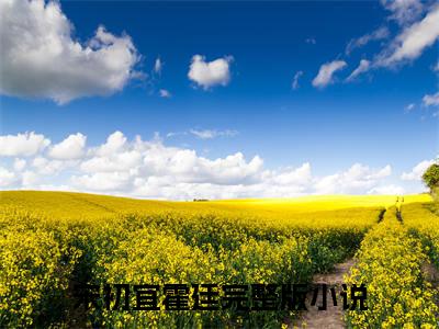 宋初宜霍廷是哪部小说的主角，宋初宜霍廷免费阅读全文大结局