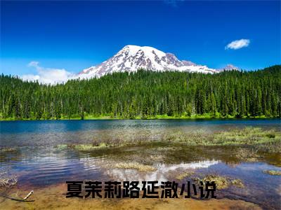 夏茉莉路延澈精彩章节免费阅读_夏茉莉路延澈抖音热推小说最新章节阅读