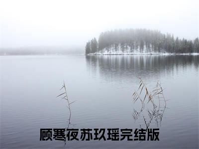 顾寒夜苏玖瑶（顾寒夜苏玖瑶）全文免费阅读无弹窗大结局_顾寒夜苏玖瑶最新章节列表_笔趣阁（顾寒夜苏玖瑶）