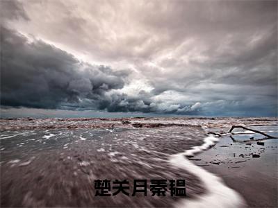 楚关月秦韫全文（楚关月秦韫免费小说-完整版-楚关月秦韫在线赏析）最新章节已更新版