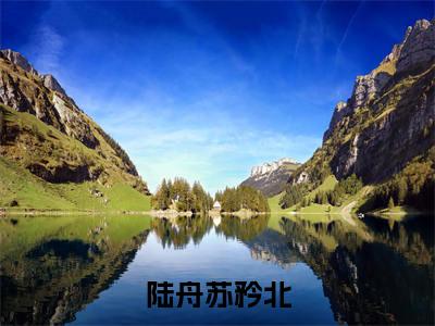 陆舟苏矜北小说免费阅读-精选好书陆舟苏矜北
