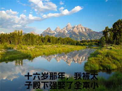 傅长洵宋南央（十六岁那年，我被太子殿下强娶了）多人推荐-十六岁那年，我被太子殿下强娶了傅长洵宋南央好看的小说完整版全文