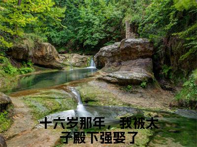 傅长洵宋南央（十六岁那年，我被太子殿下强娶了）小说全文免费读无弹窗大结局_傅长洵宋南央小说全文免费阅读最新章节列表笔趣阁
