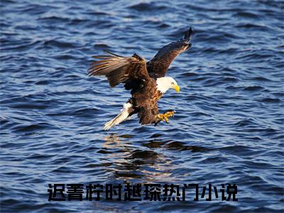 迟菁柠时越琛（迟菁柠时越琛）全文免费阅读无弹窗大结局_迟菁柠时越琛在线阅读（迟菁柠时越琛）最新章节列表笔趣阁（迟菁柠时越琛）