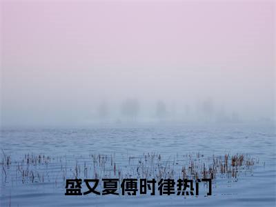 盛又夏傅时律（盛又夏离）全文免费阅读无弹窗大结局_盛又夏傅时律（盛又夏离免费小说）最新章节列表笔趣阁