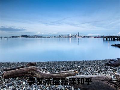 姜酥禾盛霖泽全文免费阅读 姜酥禾盛霖泽章节免费阅读