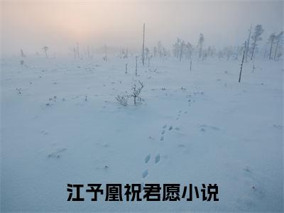 江予凰祝君愿小说完整版全文在线赏析-完结版小说（江予凰祝君愿）