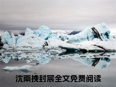 沈南挽封宸（沈南挽封宸）小说-沈南挽封宸小说免费阅读