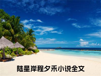 陆星岸程夕禾小说（陆星岸程夕禾）全文免费阅读无弹窗大结局_陆星岸程夕禾最新章节在线阅读