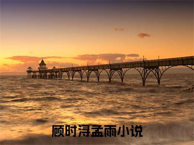 顾时浔孟雨（顾时浔孟雨）全文免费阅读无弹窗大结局_（顾时浔孟雨）顾时浔孟雨最新章节列表_笔趣阁