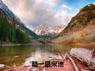 陆一辰宋池最新章节在线阅读-全文小说陆一辰宋池