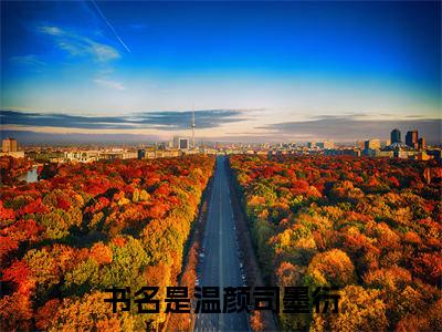 （温颜司墨衍）全文免费阅读无弹窗大结局_（温颜司墨衍小说免费阅读）温颜司墨衍最新章节列表_笔趣阁（温颜司墨衍小说免费阅读）