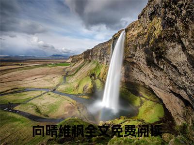 向晴维枫新书热荐免费小说全文完整版-小说精选片段阅读