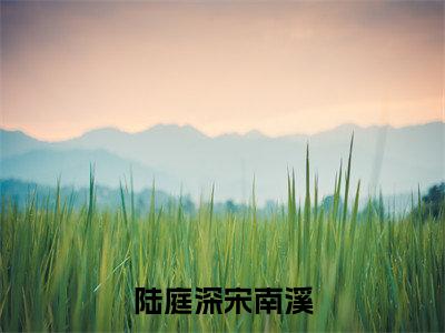 陆庭深宋南溪(陆庭深宋南溪)全文免费读无弹窗大结局_陆庭深宋南溪免费小说无弹窗最新章节列表_笔趣阁