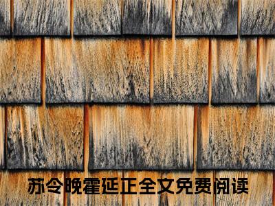 今日书单苏令晚霍延正最新更新-苏令晚霍延正全文在线观看