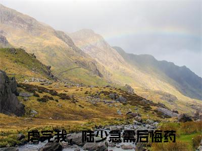 陆聂琛苏槿叶小说全文免费阅读无弹窗大结局_（虐完我，陆少急需后悔药免费阅读无弹窗）最新章节列表_笔趣阁