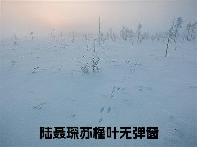 虐完我，陆少急需后悔药小说（陆聂琛苏槿叶）全文免费阅读_陆聂琛苏槿叶最新章节列表笔趣阁（虐完我，陆少急需后悔药）