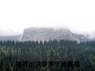 李岁宁裴晏晟（李岁宁裴晏晟）全集免费阅读无弹窗_李岁宁裴晏晟正版小说免费阅读