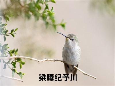 梁曦纪予川（梁曦纪予川）全文免费阅读无弹窗大结局-（梁曦纪予川）梁曦纪予川全文完结版阅读