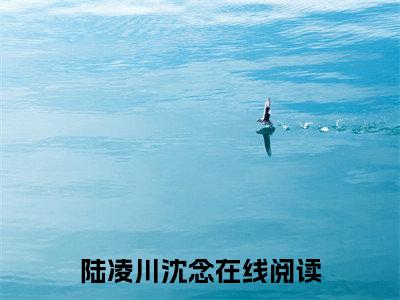 他站在深渊全文免费阅读_（陆凌川沈念免费阅读无弹窗）他站在深渊最新章节列表笔趣阁