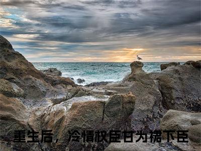 林舒沈华亭最后结局如何，重生后，冷情权臣甘为裙下臣强推全文阅读无弹窗