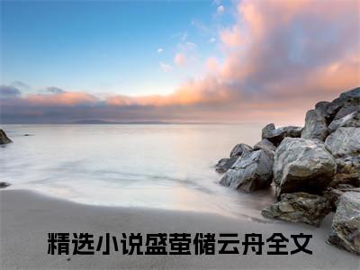 盛萤储云舟的小说（盛萤储云舟）全文免费阅读