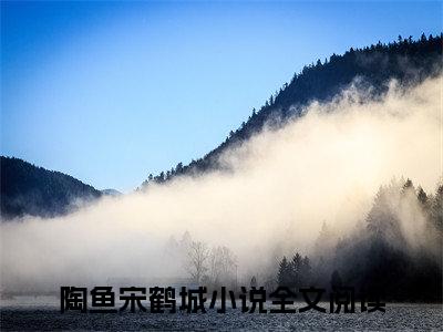 【新书】《陶鱼宋鹤城》全文免费阅读无弹窗大结局-以下犯上，她把大佬的魂儿勾走了全文全章节免费阅读