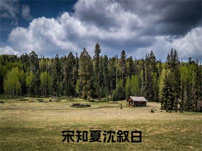 热文（宋知夏沈叙白）在线阅读-（宋知夏沈叙白）完整版免费阅读全文最新章节列表_笔趣阁