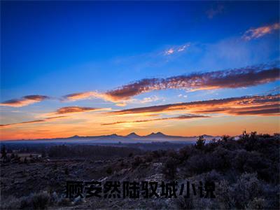 顾安然陆驭城(顾安然陆驭城)全文免费读无弹窗大结局_顾安然陆驭城免费阅读全文大结局最新章节列表