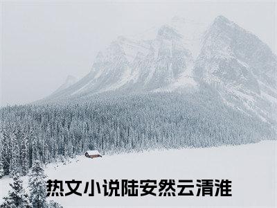 陆安然云清淮小说全文免费阅读无弹窗大结局_陆安然云清淮最新章节列表_笔趣阁