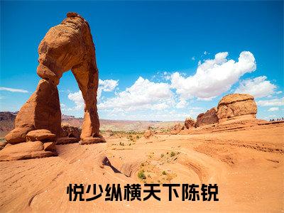 悦少纵横天下陈锐全文免费阅读无弹窗，悦少纵横天下陈锐小说最新章节列表无删减_笔趣阁
