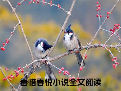 投胎穿书，全家听我心声后逆天改命热门推荐小说（春惜春悦）精彩章节阅读-投胎穿书，全家听我心声后逆天改命全文免费在线阅读_笔趣阁