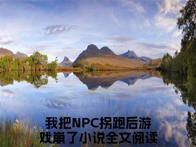 苏意沈慕白（我把NPC拐跑后游戏崩了）小说全文免费读无弹窗大结局_苏意沈慕白小说全文免费阅读最新章节列表
