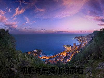 初栀许京泽（初栀许京泽)全文免费阅读无弹窗大结局_初栀许京泽（初栀许京泽）全文完整无删减版免费阅读（初栀许京泽）