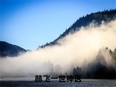 （后续）+（全文）（林飞）一世神医精彩小说-林飞全章节免费阅读