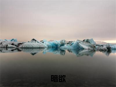宋慈席云昭全文免费阅读无弹窗大结局_暗欲最新章节列表_笔趣阁