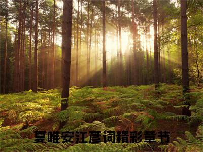 夏唯安江彦词小说:（夏唯安江彦词）全文免费阅读无弹窗大结局_要知道，破坏军婚是要受处分的小说:夏唯安江彦词最新章节列表