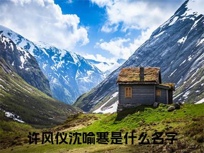 许风仪沈喻寒（许风仪沈喻寒）全文免费阅读无弹窗大结局_许风仪沈喻寒热门小说最新章节阅读