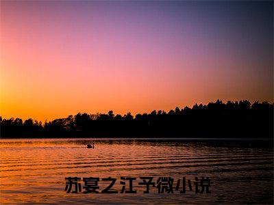 苏宴之江予微全文免费阅读（苏宴之江予微小说）全文免费阅读无弹窗大结局_（苏宴之江予微全文免费阅读无弹窗）苏宴之江予微小说最新章节列表_笔趣阁（苏宴之江予微）