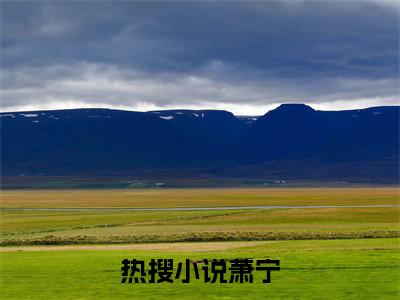 萧宁开局谋反：陛下认错吧，他都一统九州了完整全文在线阅读开局谋反：陛下认错吧，他都一统九州了抖音热推小说全集无删减