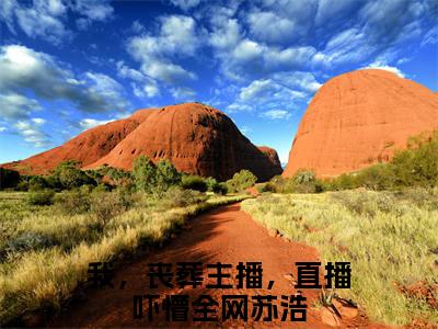 我，丧葬主播，直播吓懵全网免费小说（苏浩）全文免费阅读无弹窗大结局_苏浩最新章节列表_笔趣阁