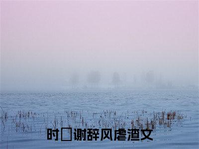 时玥谢辞风最新章节（时玥谢辞风免费在线阅读）全文免费阅读无弹窗大结局_时玥谢辞风免费在线阅读免费阅读（时玥谢辞风）