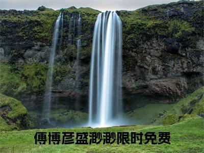 傅博彦盛渺渺（傅博彦盛渺渺无弹窗）全文免费阅读无弹窗大结局_傅博彦盛渺渺最新章节列表_笔趣阁（傅博彦盛渺渺无弹窗）