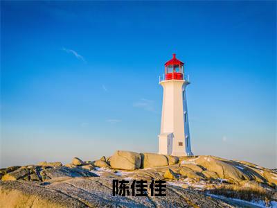陈佳佳全文免费阅读无弹窗大结局_（我在黑心医院当男护士）陈佳佳免费阅读无弹窗最新章节列表_笔趣阁