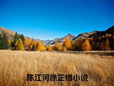 陈江河徐芷惜（完美人生，重启2006）小说全文免费阅读无弹窗大结局_陈江河徐芷惜（完美人生，重启2006）最新章节列表