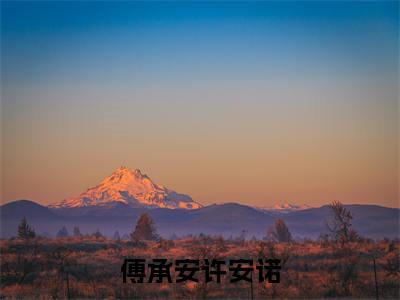 傅承安许安诺小说免费阅读（傅承安许安诺）全文免费阅读大结局-（傅承安许安诺小说免费阅读）好书推荐