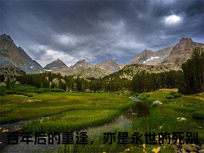 柊宜钟霖（百年后的重逢，亦是永世的死别）全文免费阅读无弹窗大结局_（百年后的重逢，亦是永世的死别）小说免费阅读最新章节列表