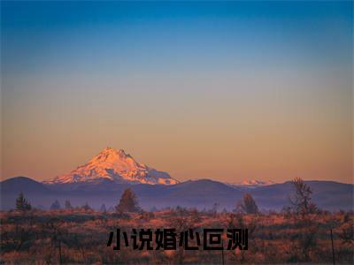 苏辞李轻舟全文免费阅读无弹窗-（婚心叵测在线阅读）苏辞李轻舟最新章节列表笔趣阁