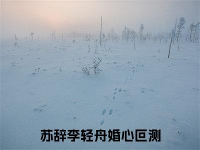 婚心叵测多人推荐-好看的小说苏辞李轻舟完整版免费阅读